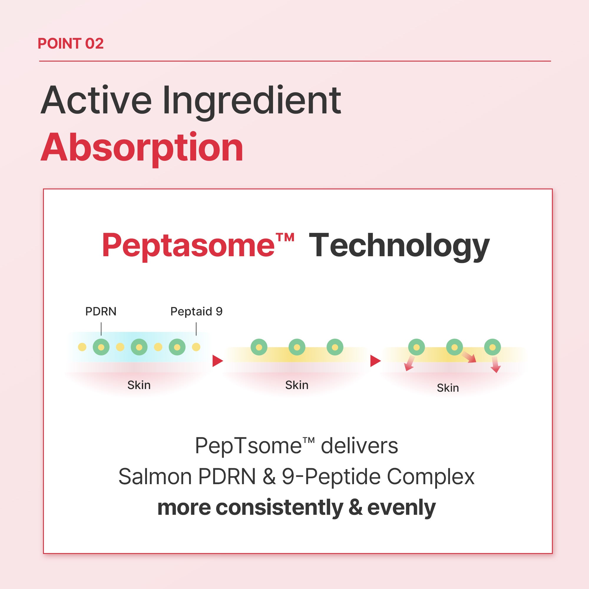 Raume365 PDRN 30,000 ppm 9-Peptide Lifting Radiance Booster Ampoule