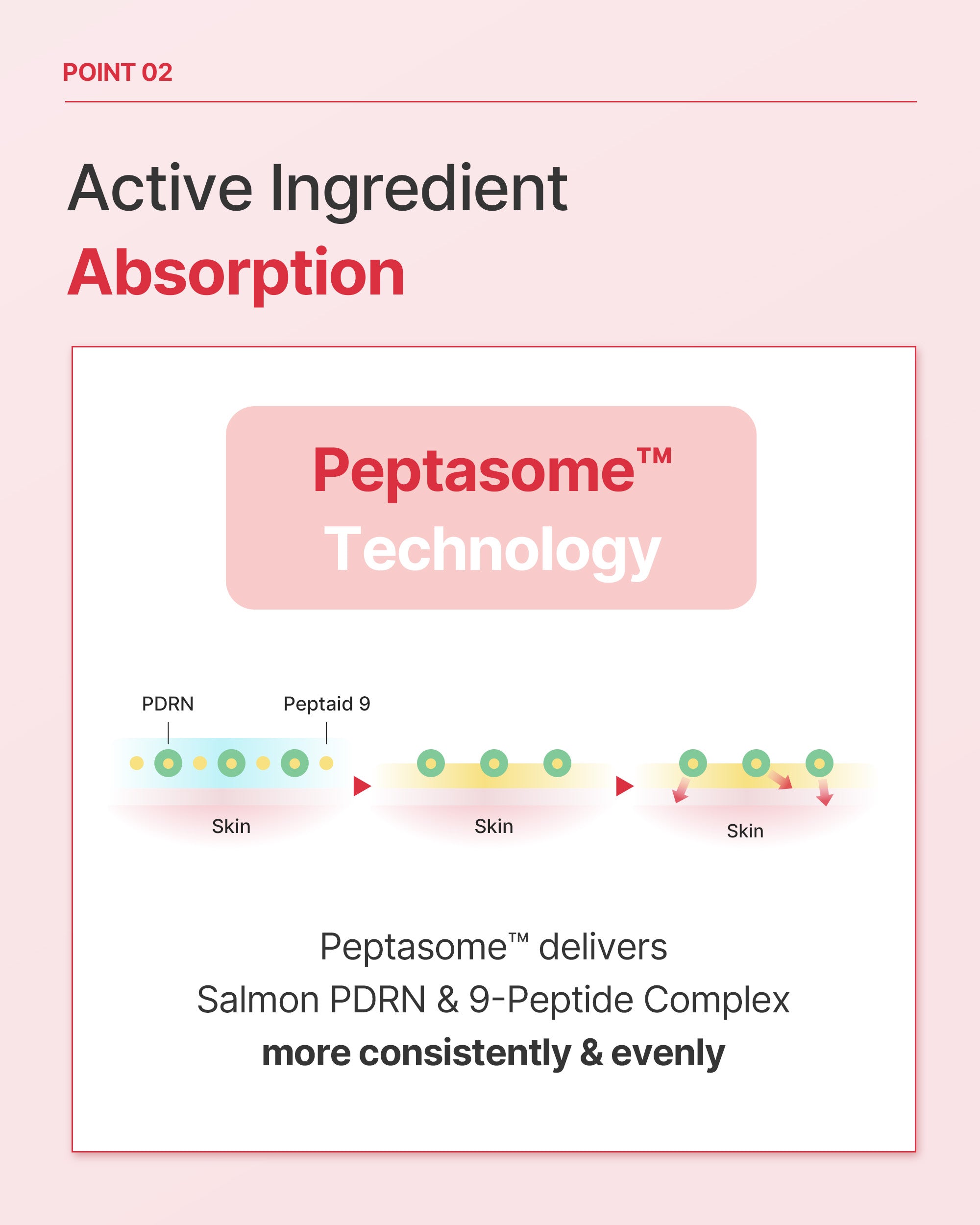 Raume365 PDRN 30,000 ppm 9-Peptide Lifting Radiance Booster Ampoule